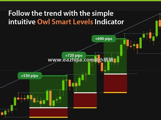 owl-smart-levels-screen-5404.jpg