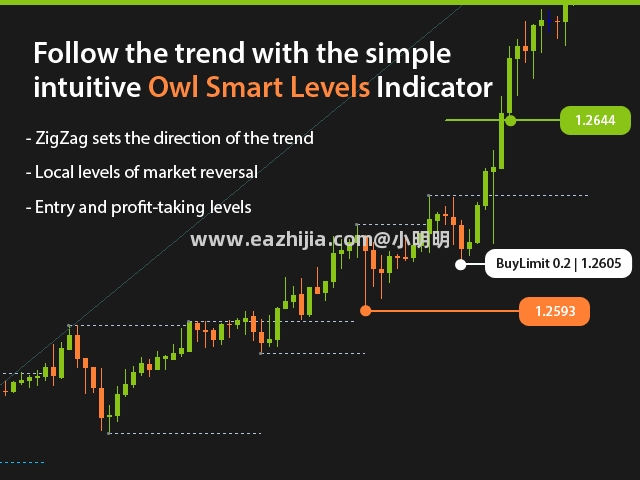 owl-smart-levels-screen-7066.jpg